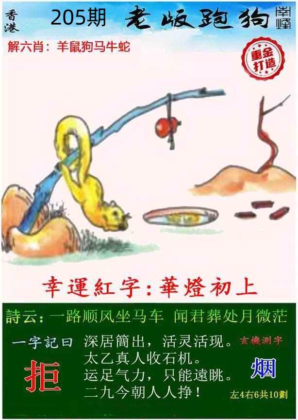 图片资料正在更新中……